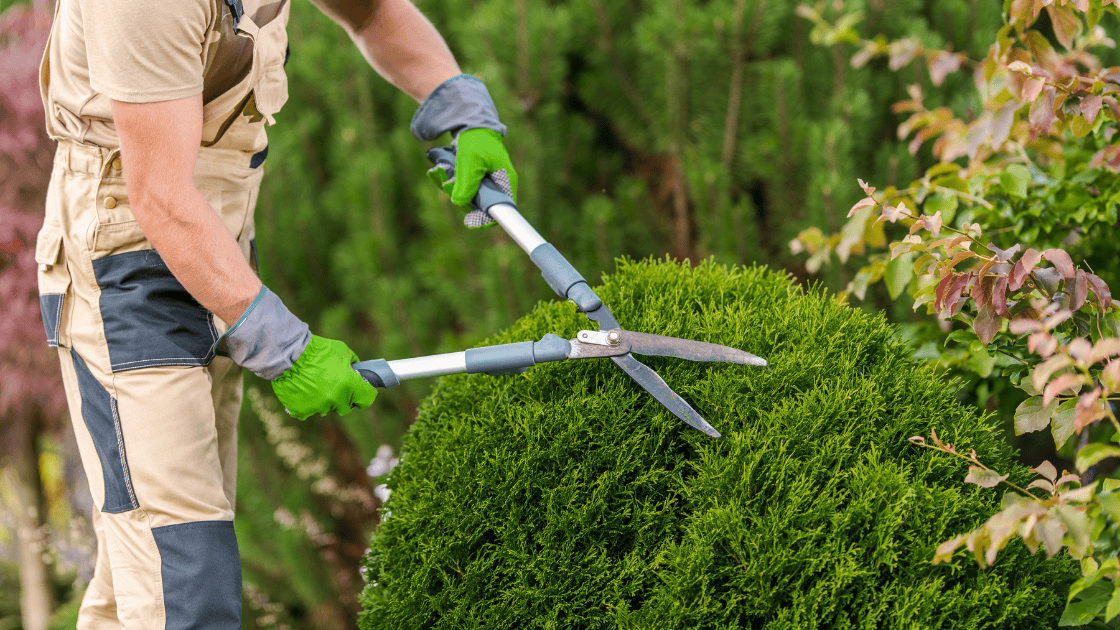 Landscaper planning their marketing strategy for growing their client base